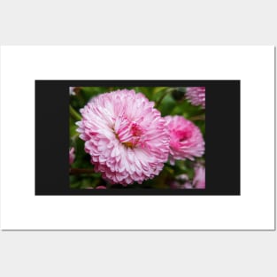 Cute pink flower Posters and Art